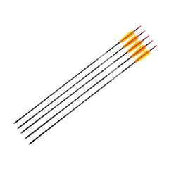 Poe Lang - Aluminiumpfeil 30" - 5er Set - Schwarz