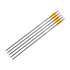 Poe Lang - Aluminiumpfeil 30" - Schwarz - 5er Set