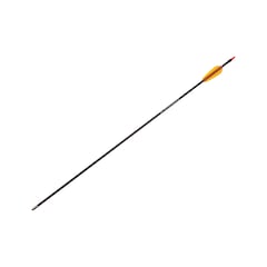 Poe Lang - Fiberglaspfeil 28" - Schwarz
