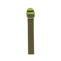 Wisport - Spanngurt mit Ladderlock-Schnalle - 25 mm - olive