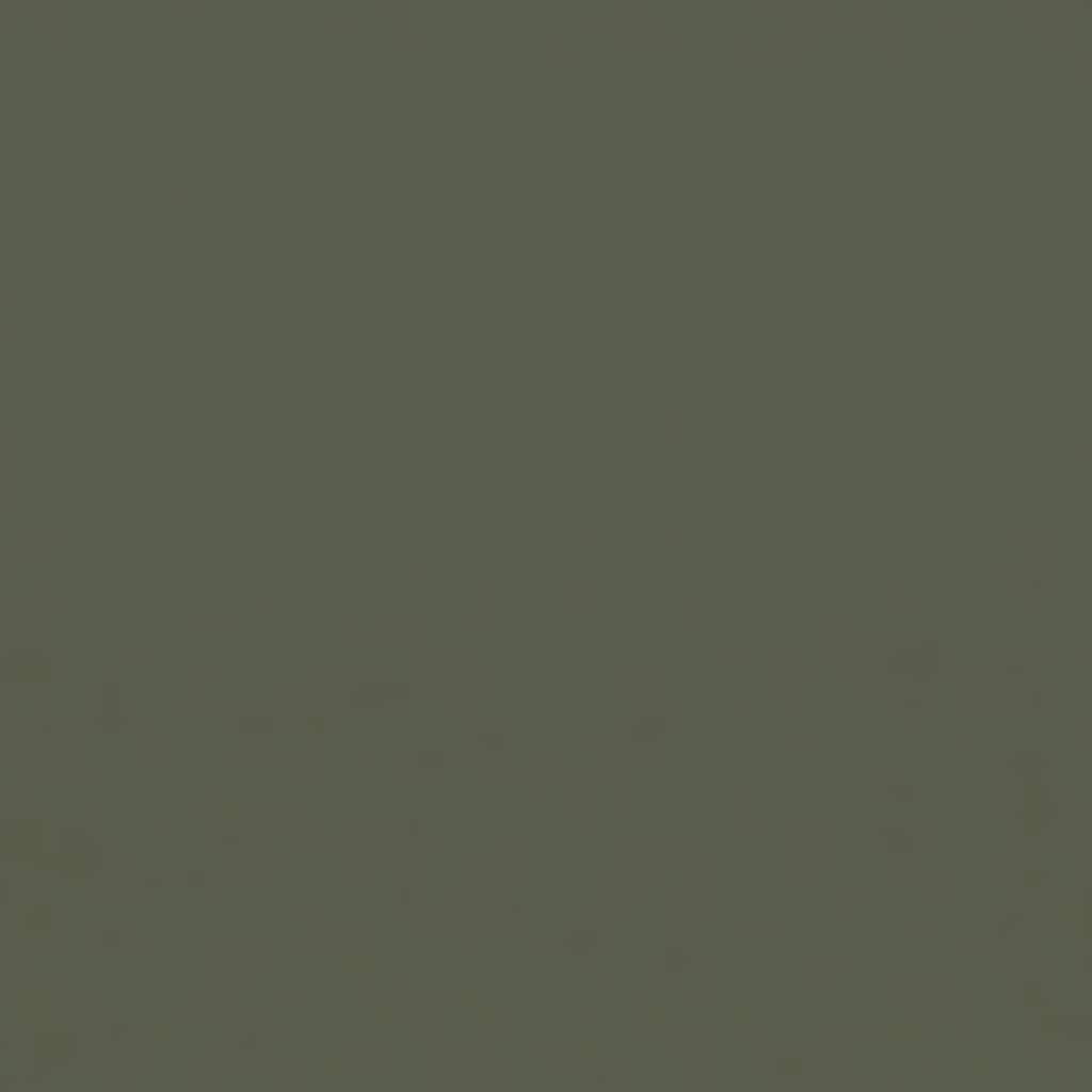 FOSCO - Tarnfarbe RAL6003 - DDR Green