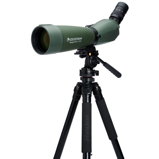 Celestron - Regal M2 80ED - Spektiv 20-60x80