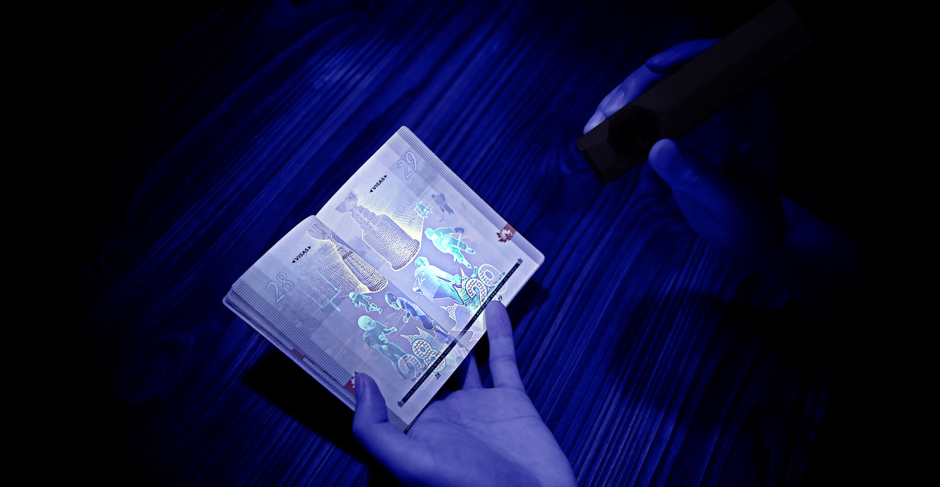 Die besten UV-Taschenlampen im Vergleich