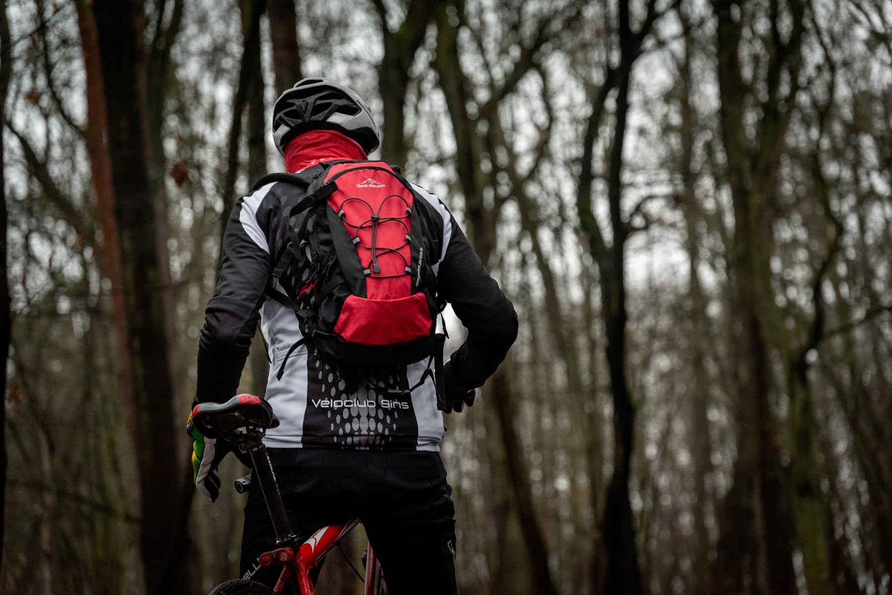 Fjord Nansen - Geranger Solid 20 l - Rucksack - Red/Black