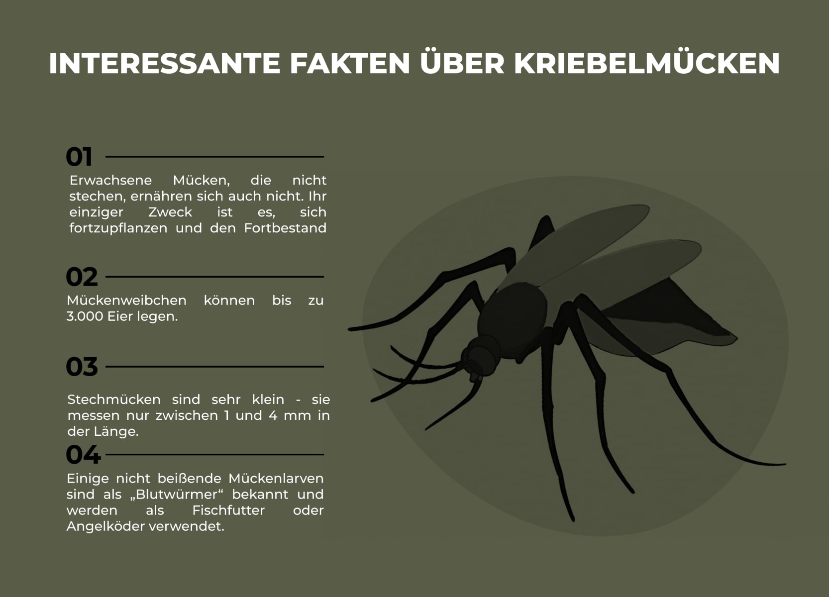 Kriebelmücken-Infografik