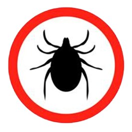  Remedies for mosquitoes, ticks and other insects