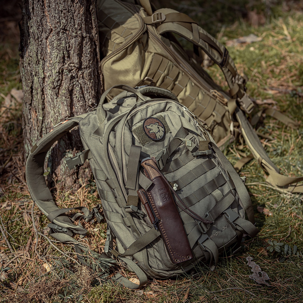 Wisport Sparrow II 30 l Backpack Olive Green