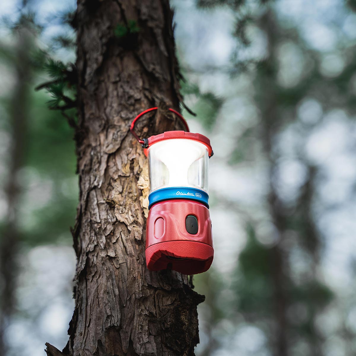 Olight Olantern Mini Wine Red Camping Lamp - 150 lumens
