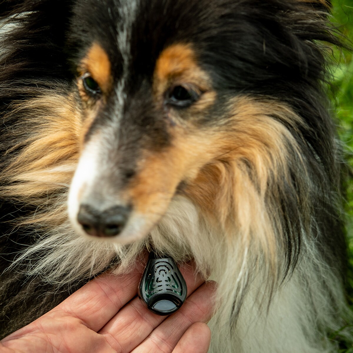 TickLess Pet Ultrasonic Tick Repeller - for pets - Black