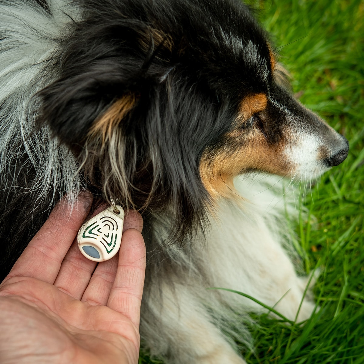 TickLess Pet Ultrasonic Tick Repeller - for pets - Beige