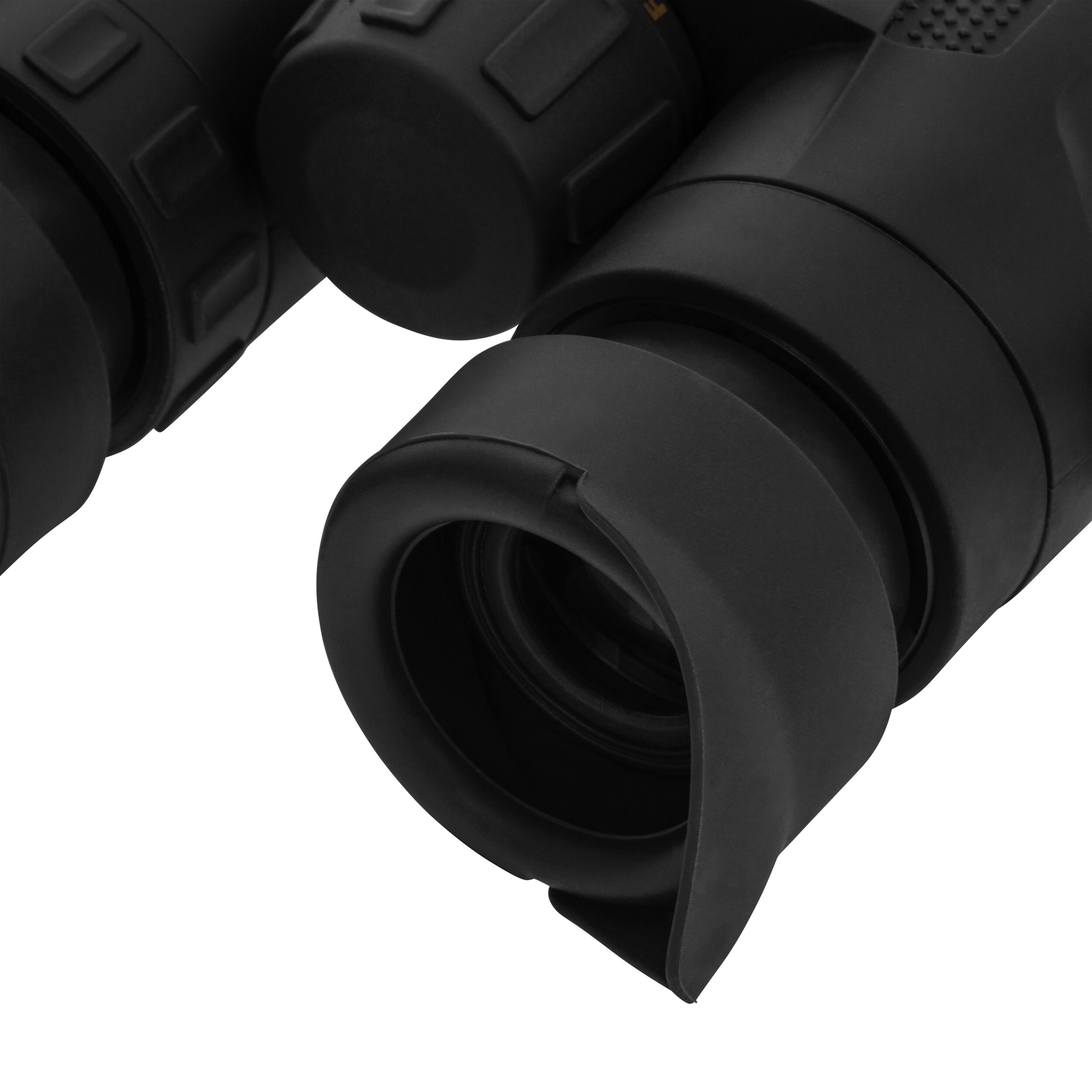 Steiner Ranger Xtreme Binoculars 8x32