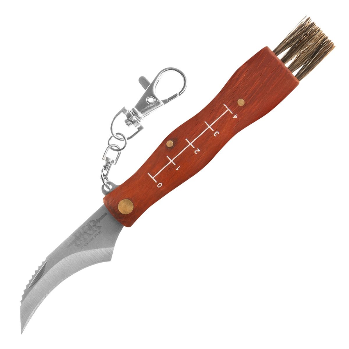 Folding knife Joker for picking mushrooms - 55 mm