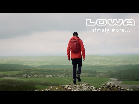 Lowa Ranger GTX MID shoes - Brown