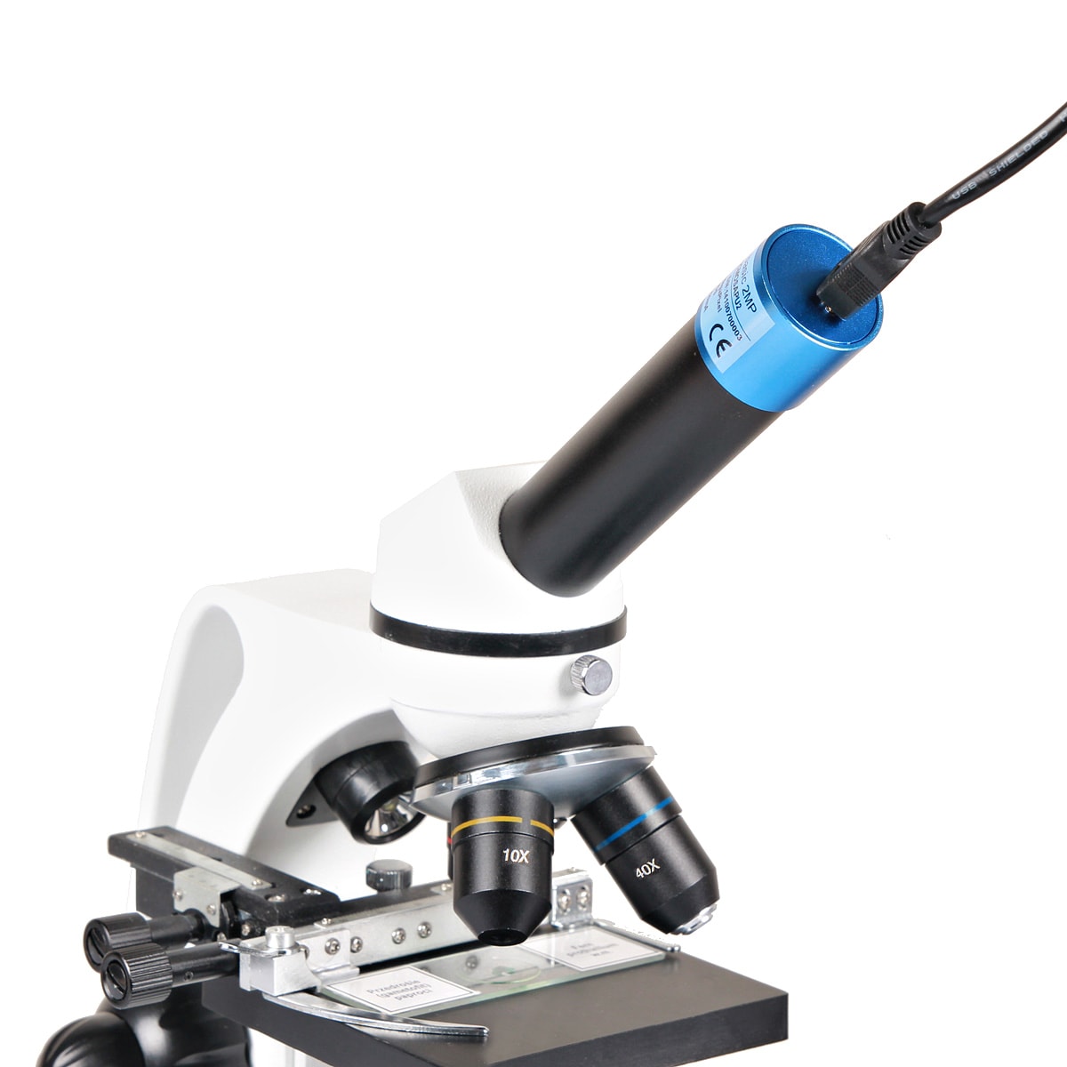 Delta Optical BioLight 300 Microscope with Delta Optical DLT-Cam Basic 2 MP camera