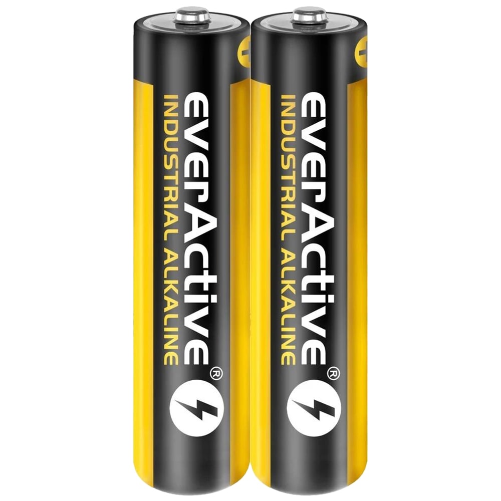 EverActive Industrial LR03 AAA Alkaline battery - 2 pcs.