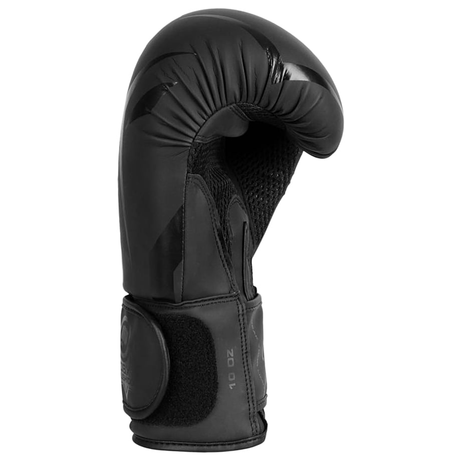 DBX Bushido Raptor B-2V22 Boxing Gloves - Matte Black