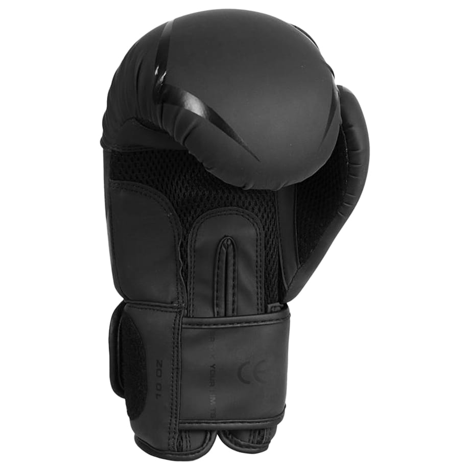 DBX Bushido Raptor B-2V22 Boxing Gloves - Matte Black