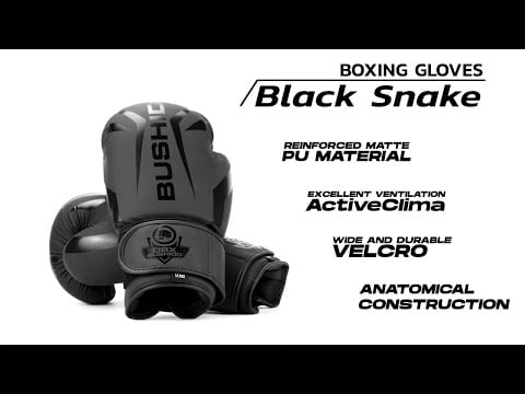 DBX Bushido Raptor B-2V22 Boxing Gloves - Matte Black