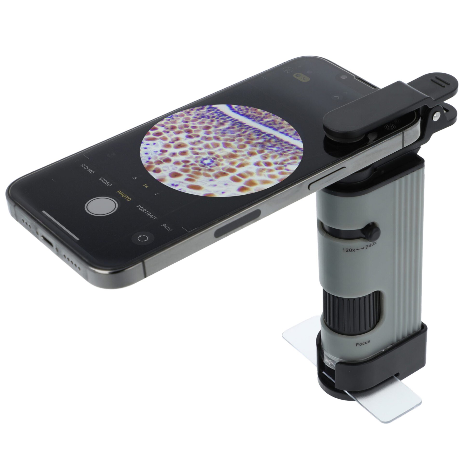 Carson MicroPic High-Resolution 120-240x Pocket Microscope 