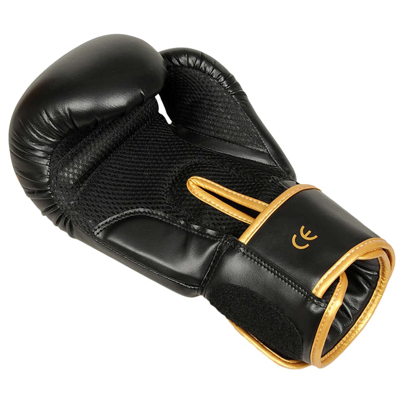 DBX Bushido Hawk B-2V17 Boxing Gloves - Black