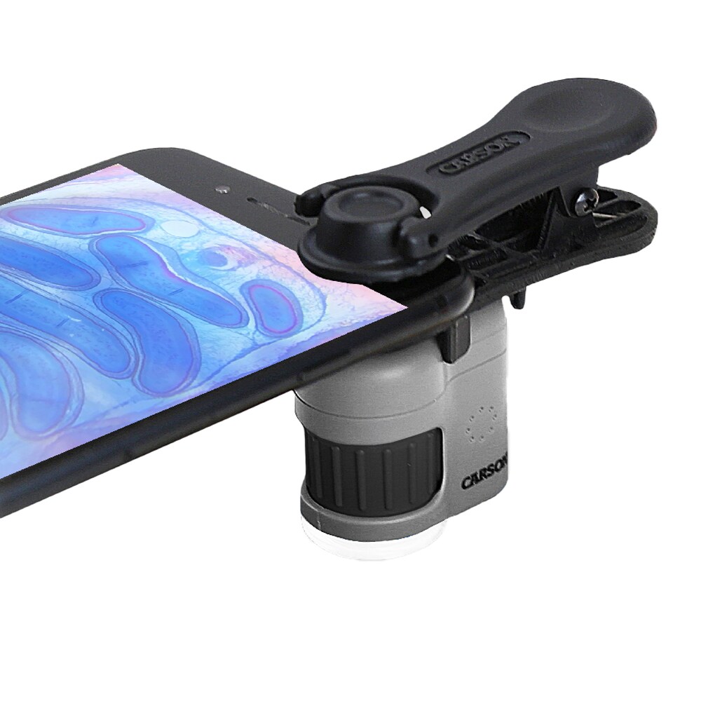 Carson MicroMini 20x Pocket Microscope with smartphone clip