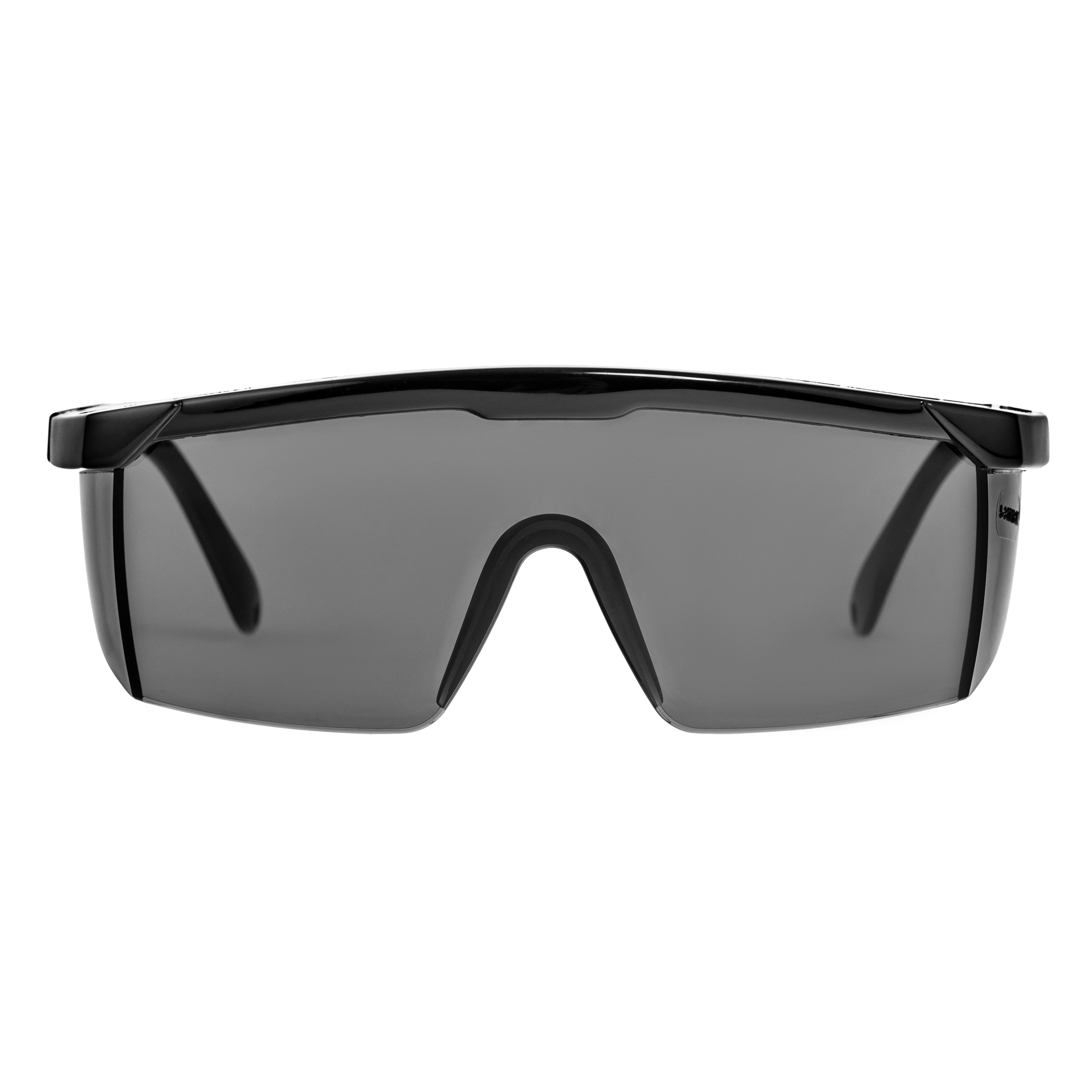 Reis Framber Protective Glasses - Black