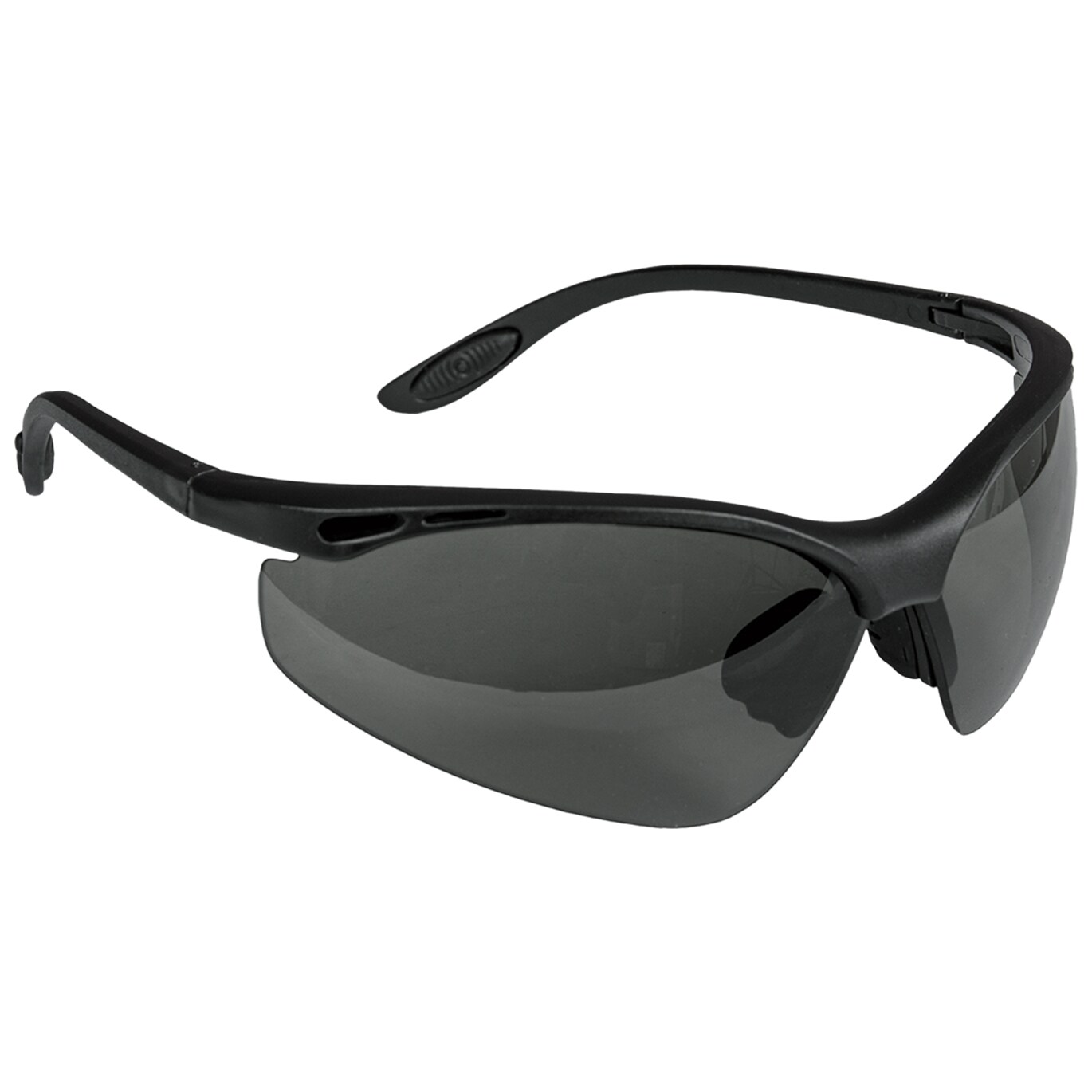 Reis Denver Protective Glasses - Black