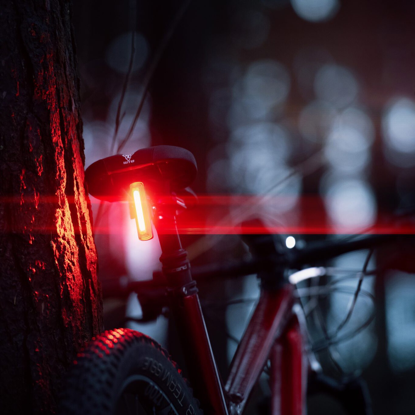 Moon Comet-X rear bike light - 50 lumens