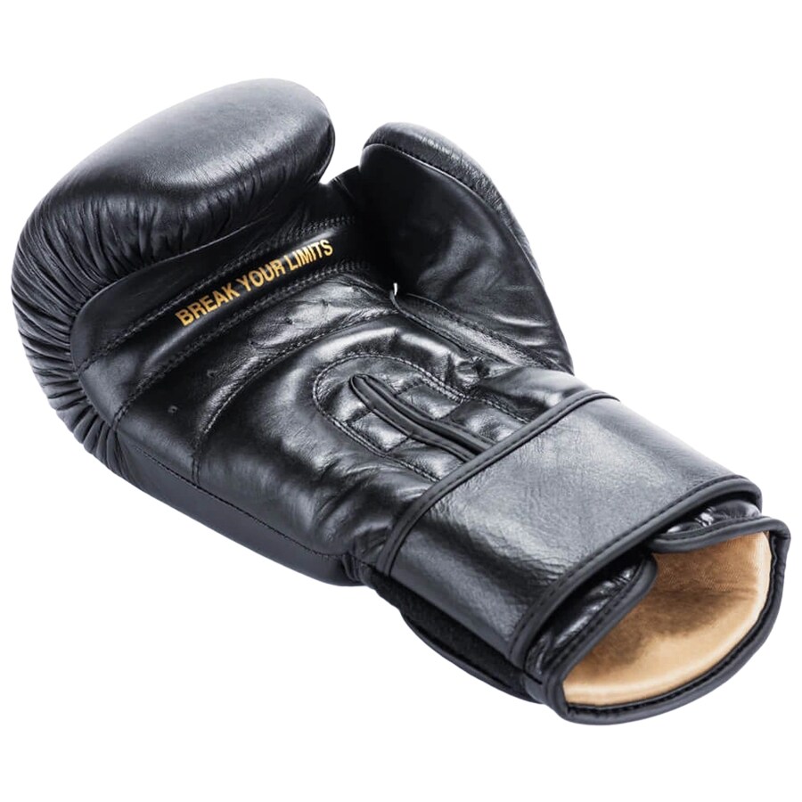 DBX Bushido Striker Boxing Gloves - Black