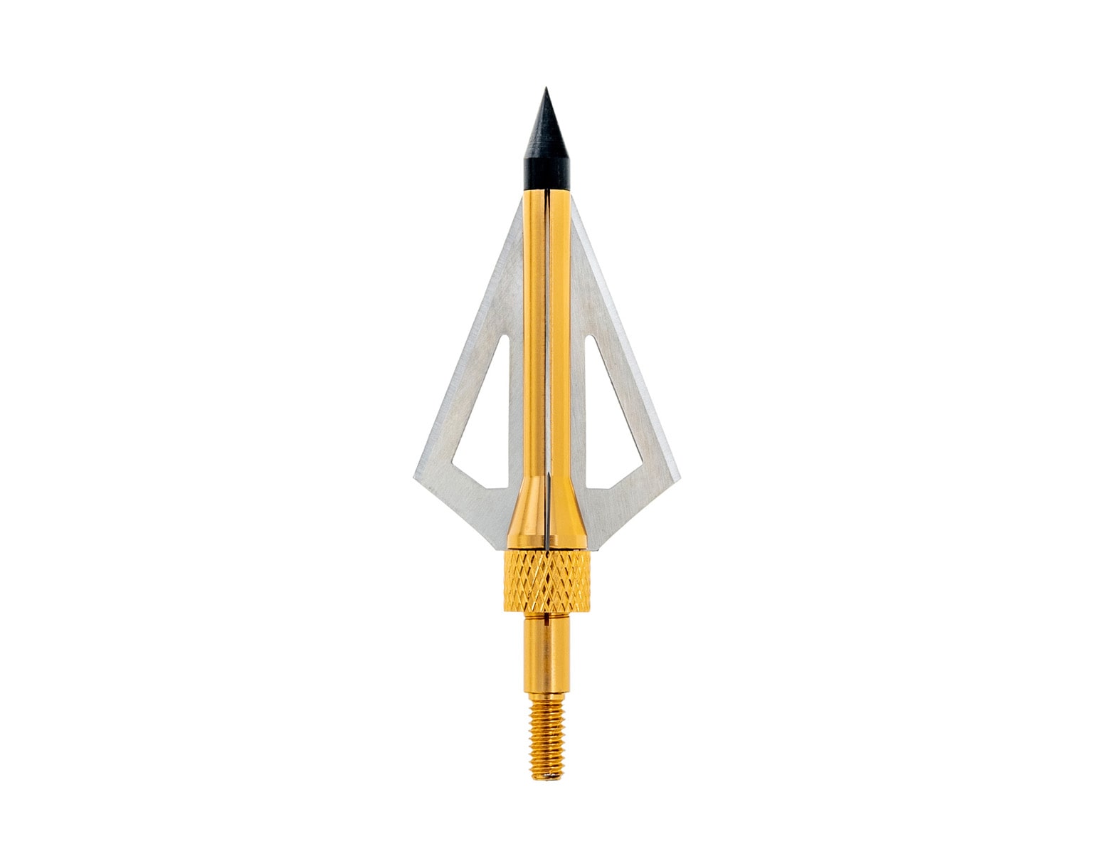 Assassin Arrowhead Gold