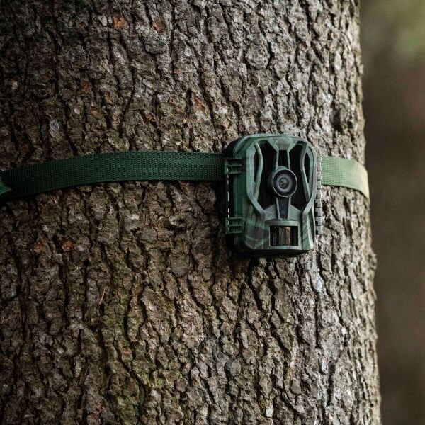 Midland Wild Guardian Camera Trap - 20MPX