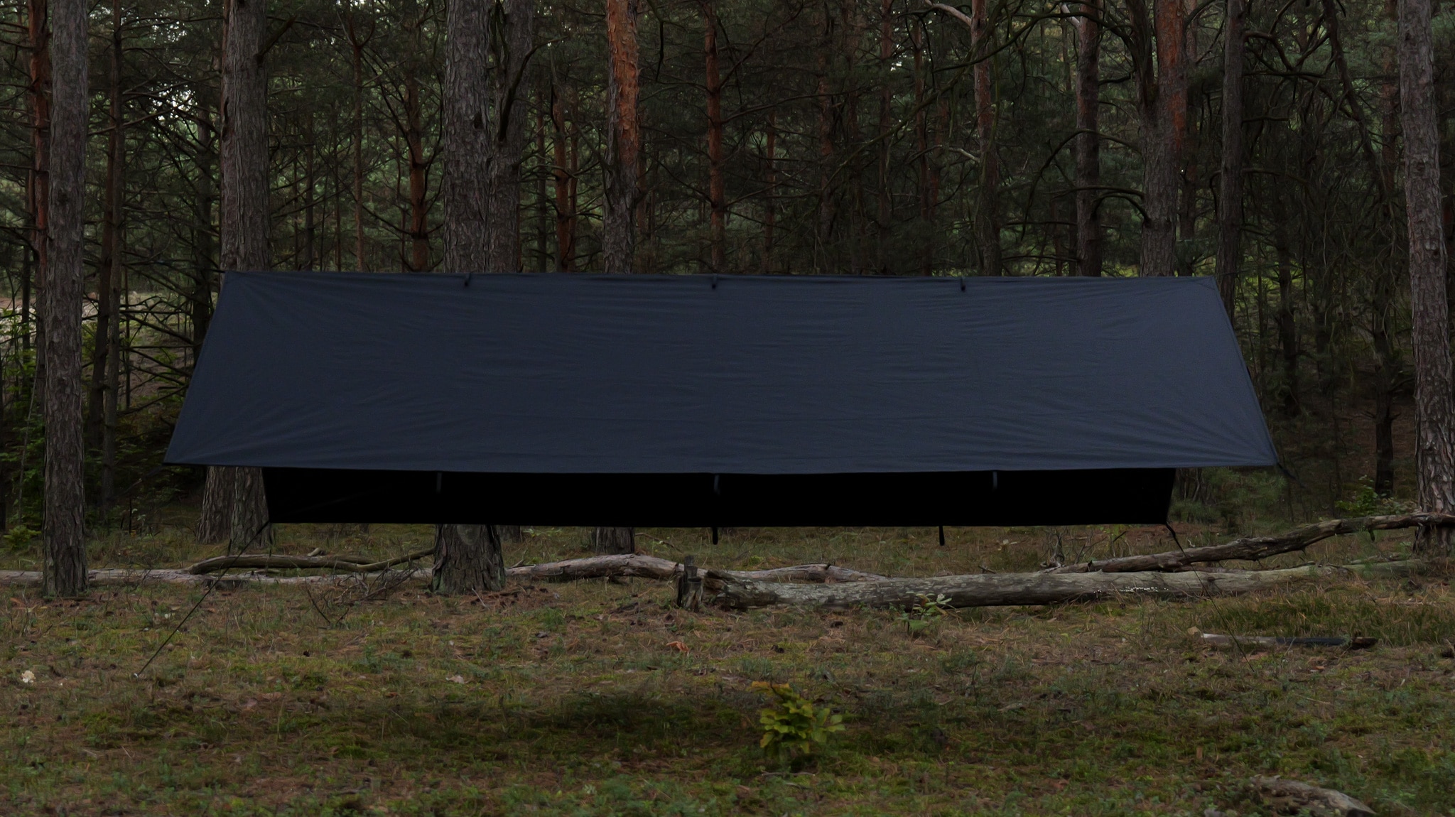 TigerWood Tarp T2 3 x 2 m - Black