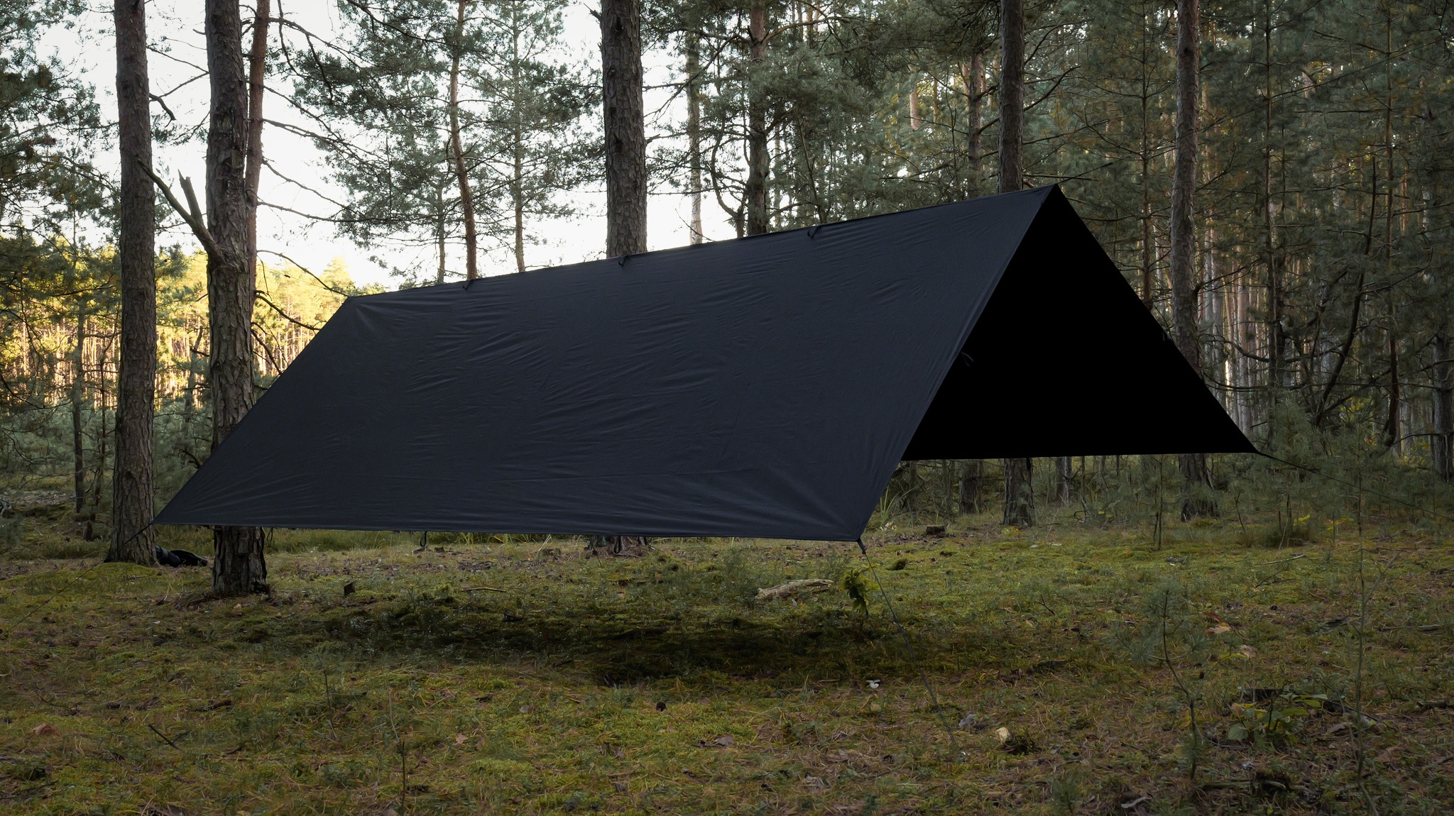 TigerWood Tarp T2 Camping Tarp 3 x 3 m - Black