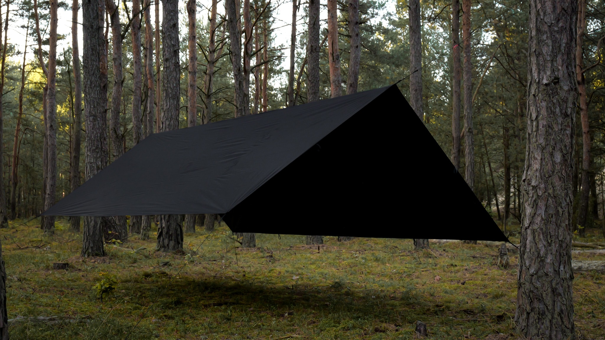 TigerWood Tarp T2 Camping Tarp 3 x 3 m - Black