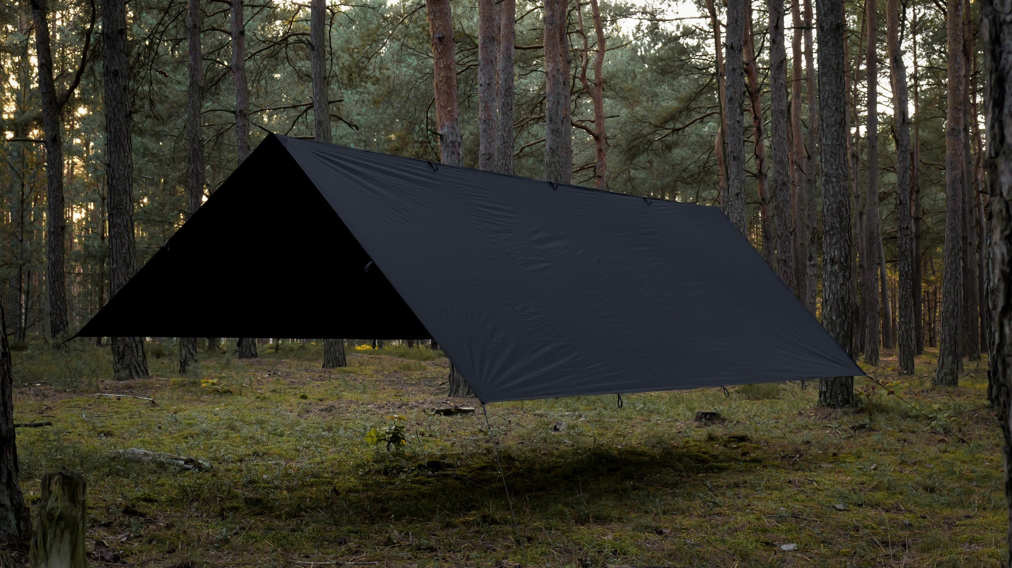 TigerWood Tarp T2 Camping Tarp 3 x 3 m - Black