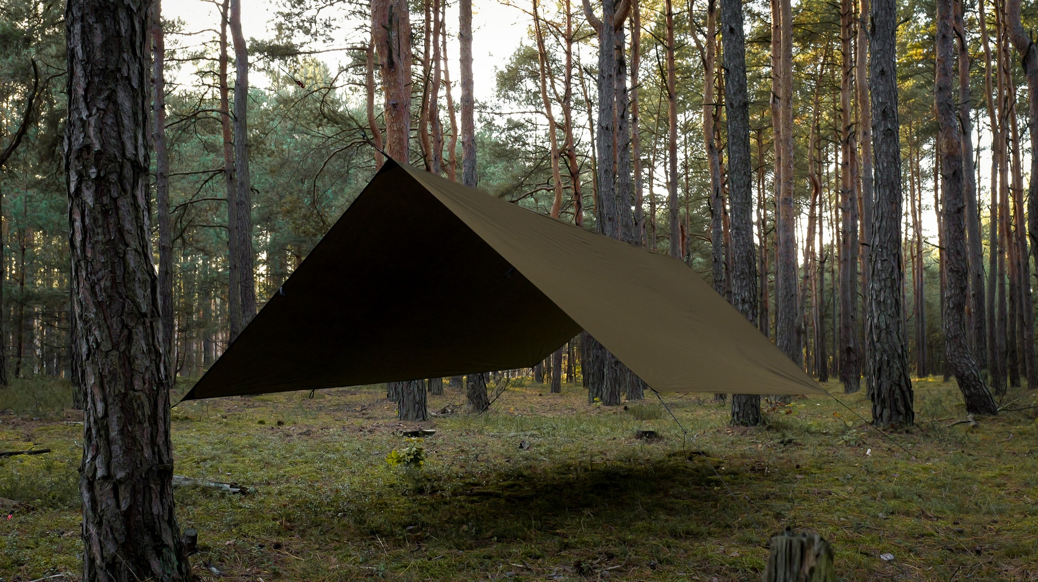 TigerWood Tarp T2 3 x 4 m Camping Tarp - Khaki