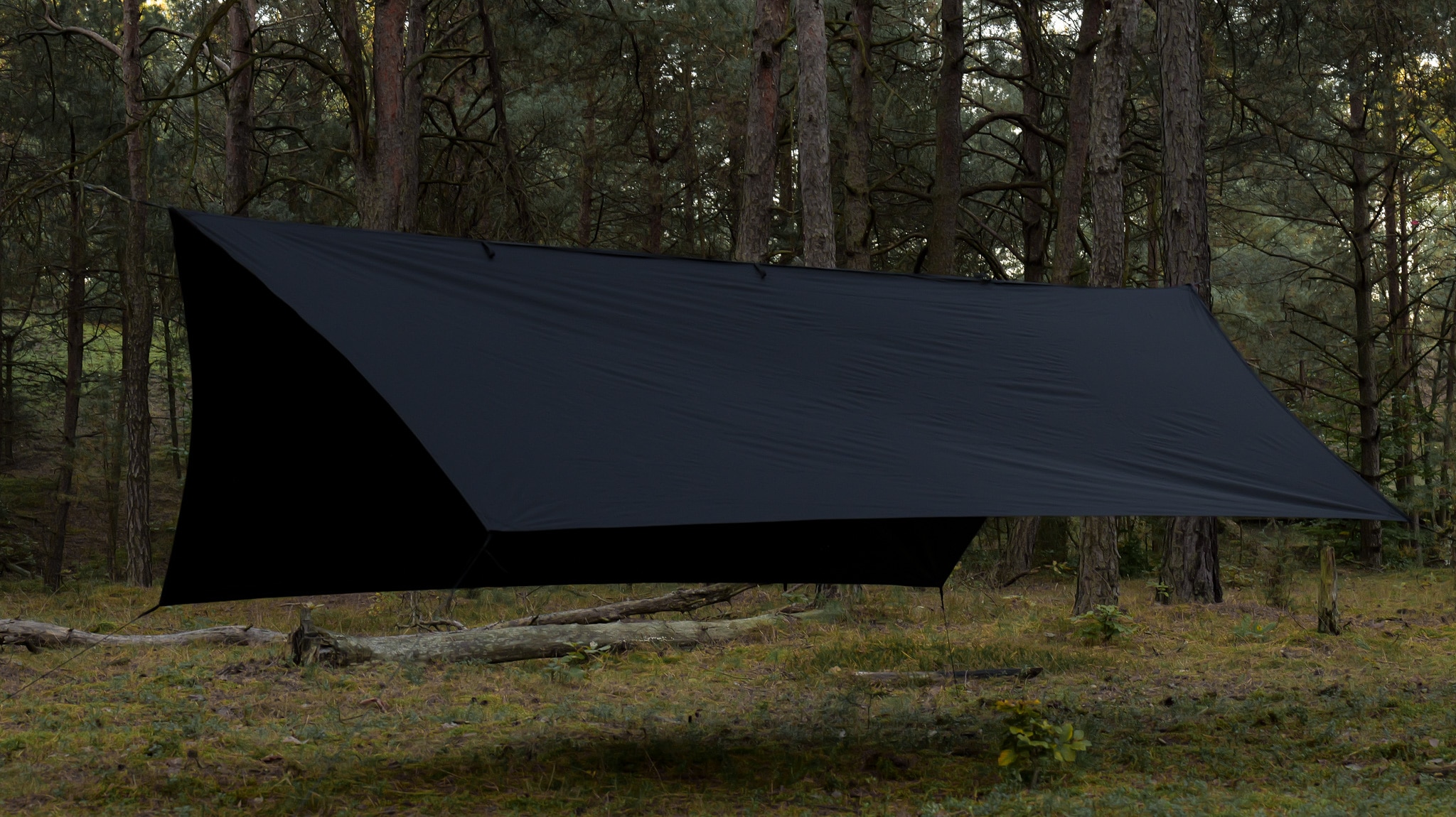 TigerWood Termo Tarp T2 StingRay Camping Tarp 3.6 x 2.8m - Black