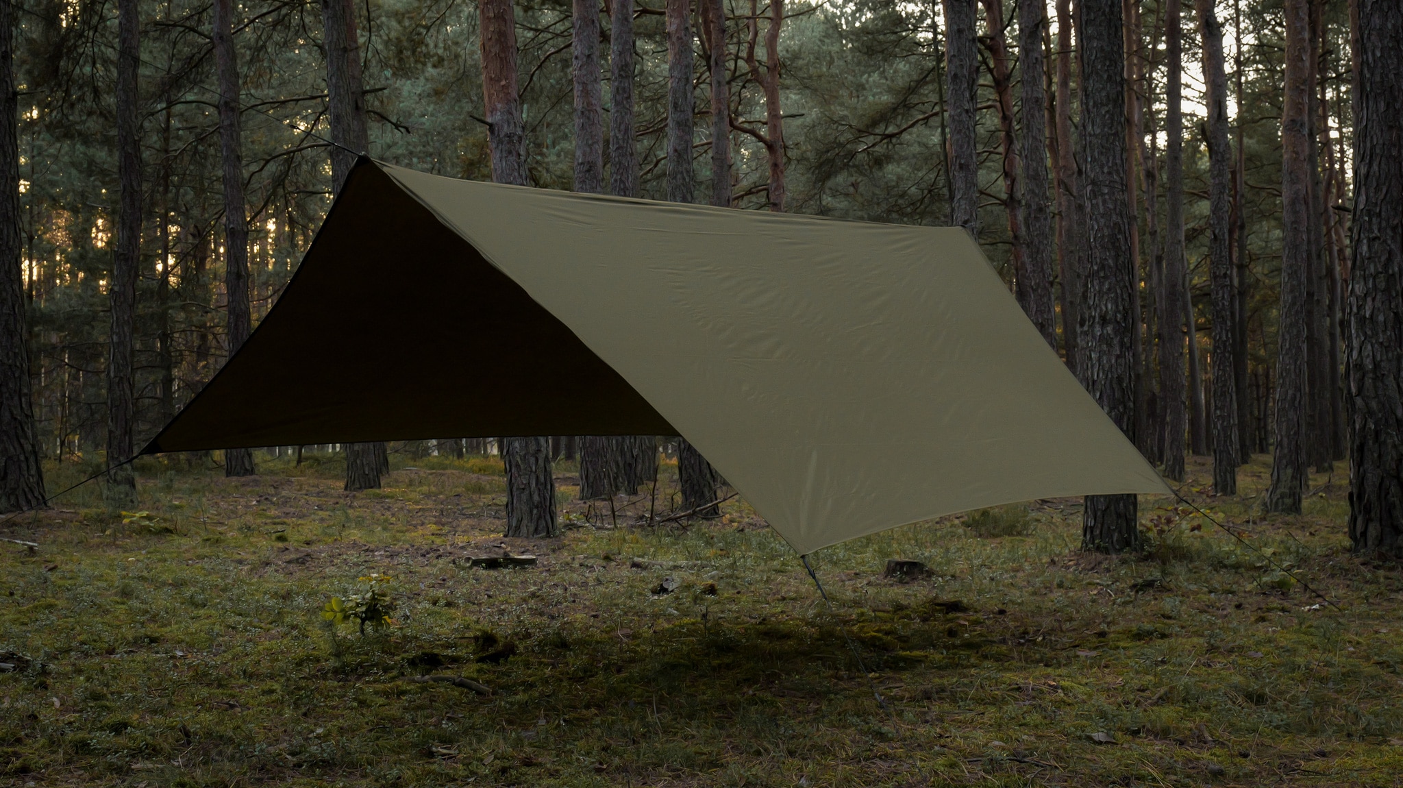 TigerWood Termo Tarp T2 StingRay Camping Tarp 3.6 x 2.8 m - Khaki