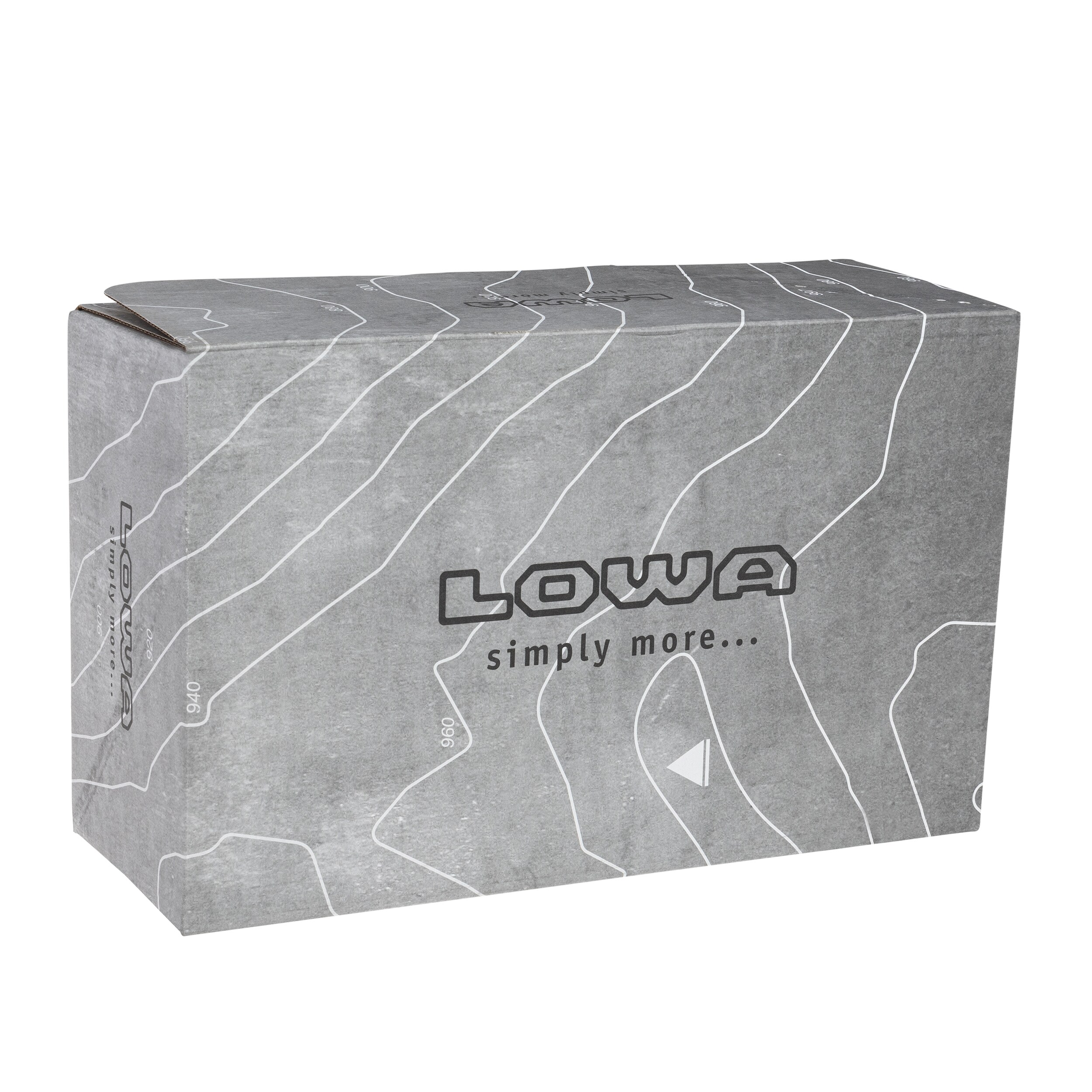 Lowa Renegade EVO GTX LOW Shoes - Black