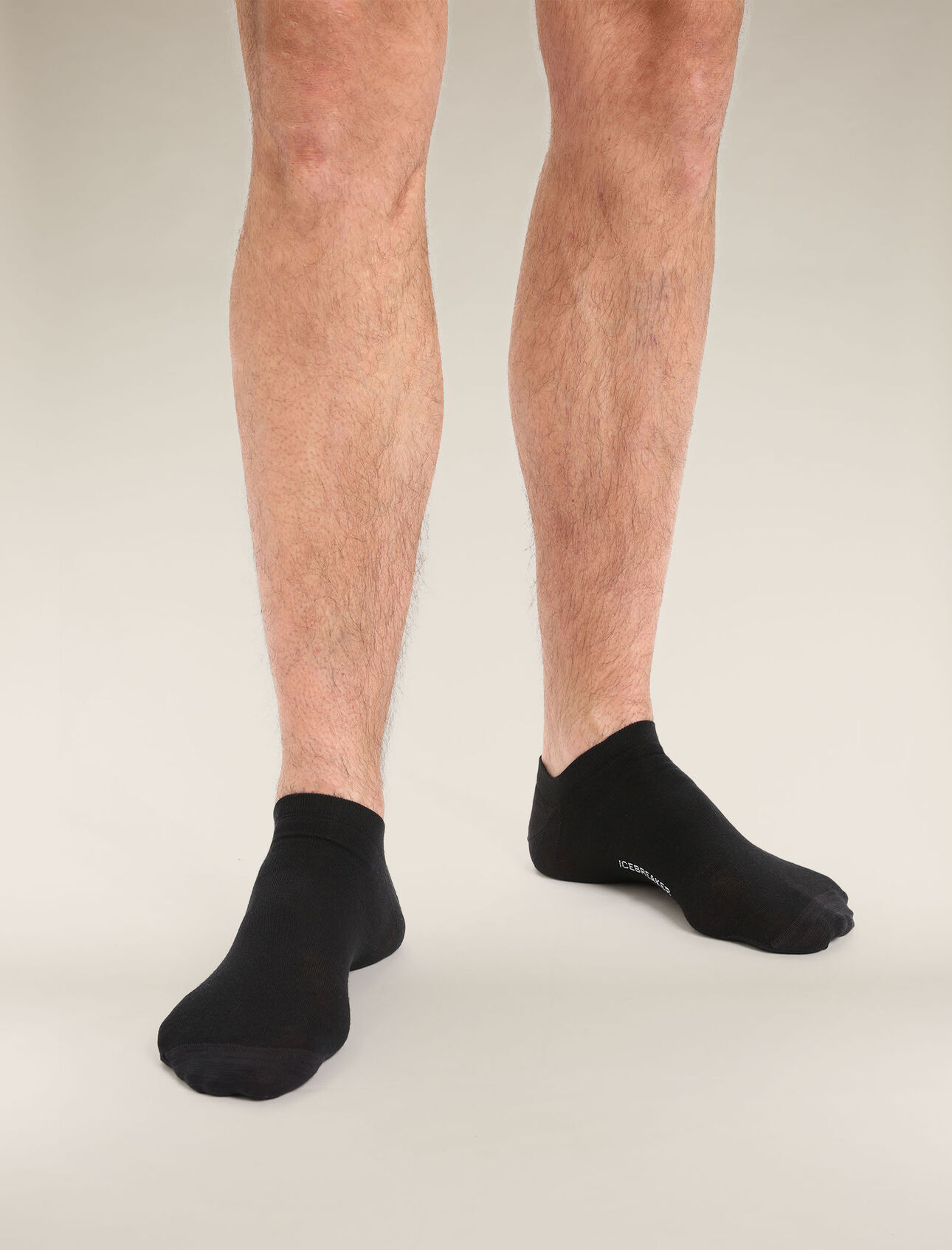 Icebreaker Merino Lifestyle Fine Gauge No Show Socks - Black