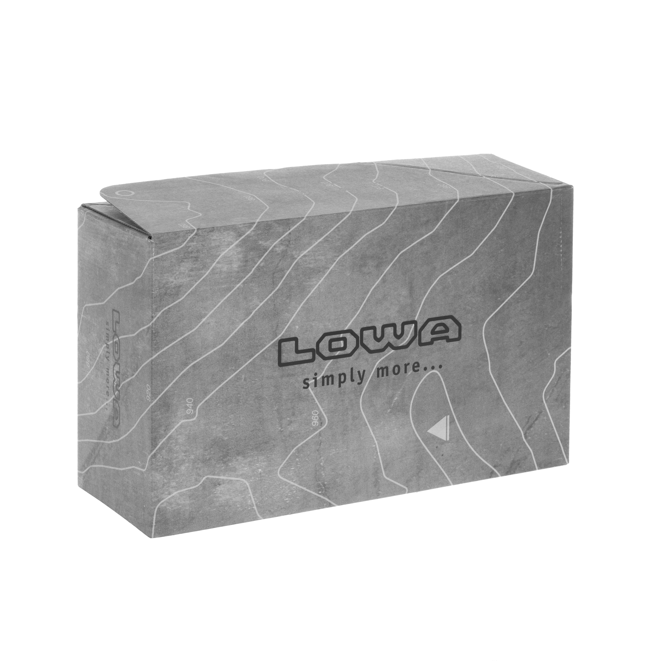 Lowa Renegade EVO GTX LOW Shoes - Espresso/Black