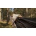 TigerWood Dragonfly V1 Pocket Hammock with Mosquito Net - Desert