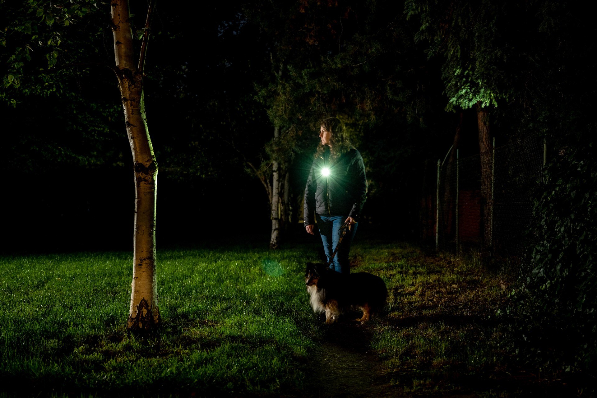 Olight Oclip Pro Fortune Snake Special Edition Rechargeable Torch - 500 lumens