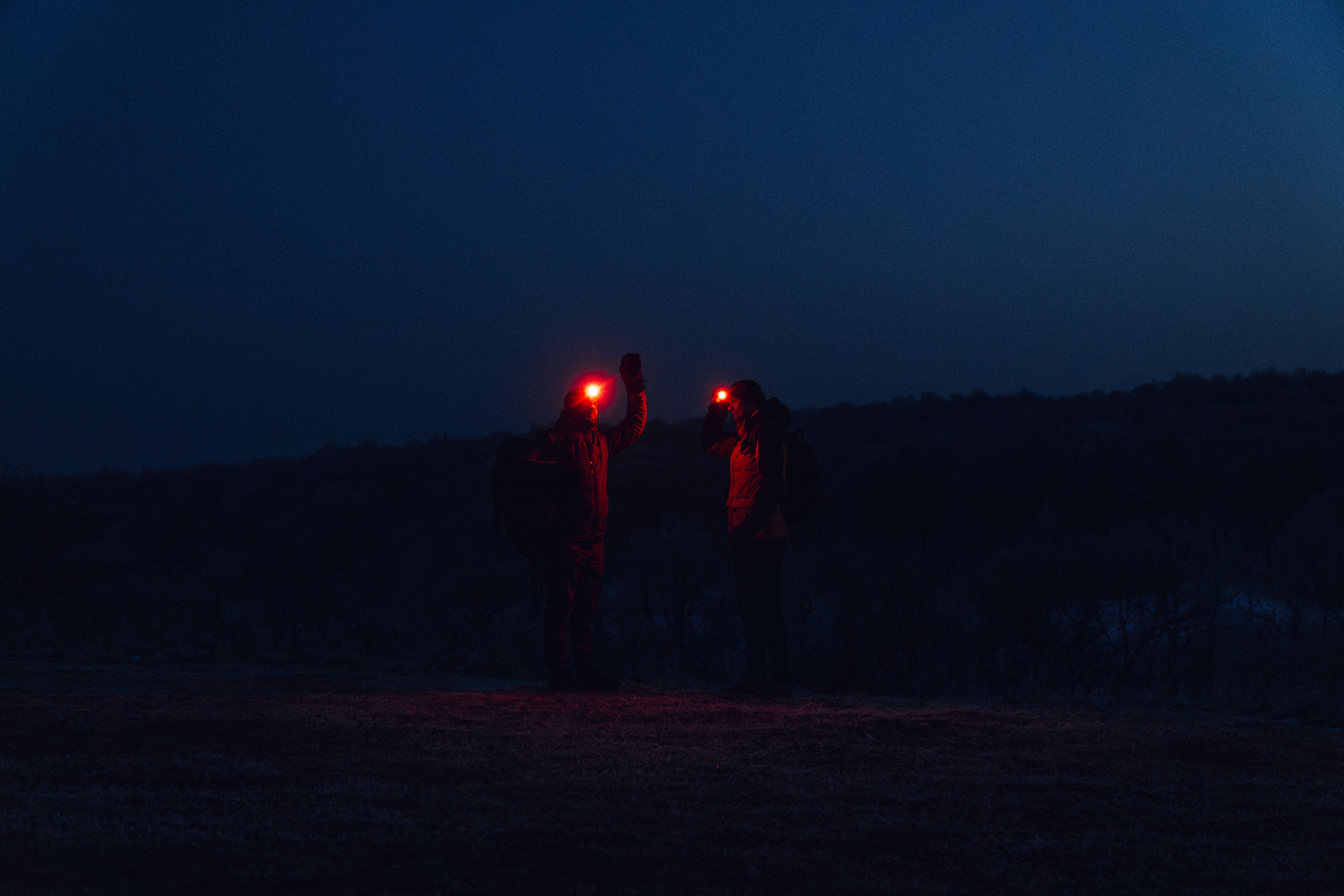 Olight Perun 3 Mini Cool White Black Head Torch and Angled Torch with Headband - 1250 lumens