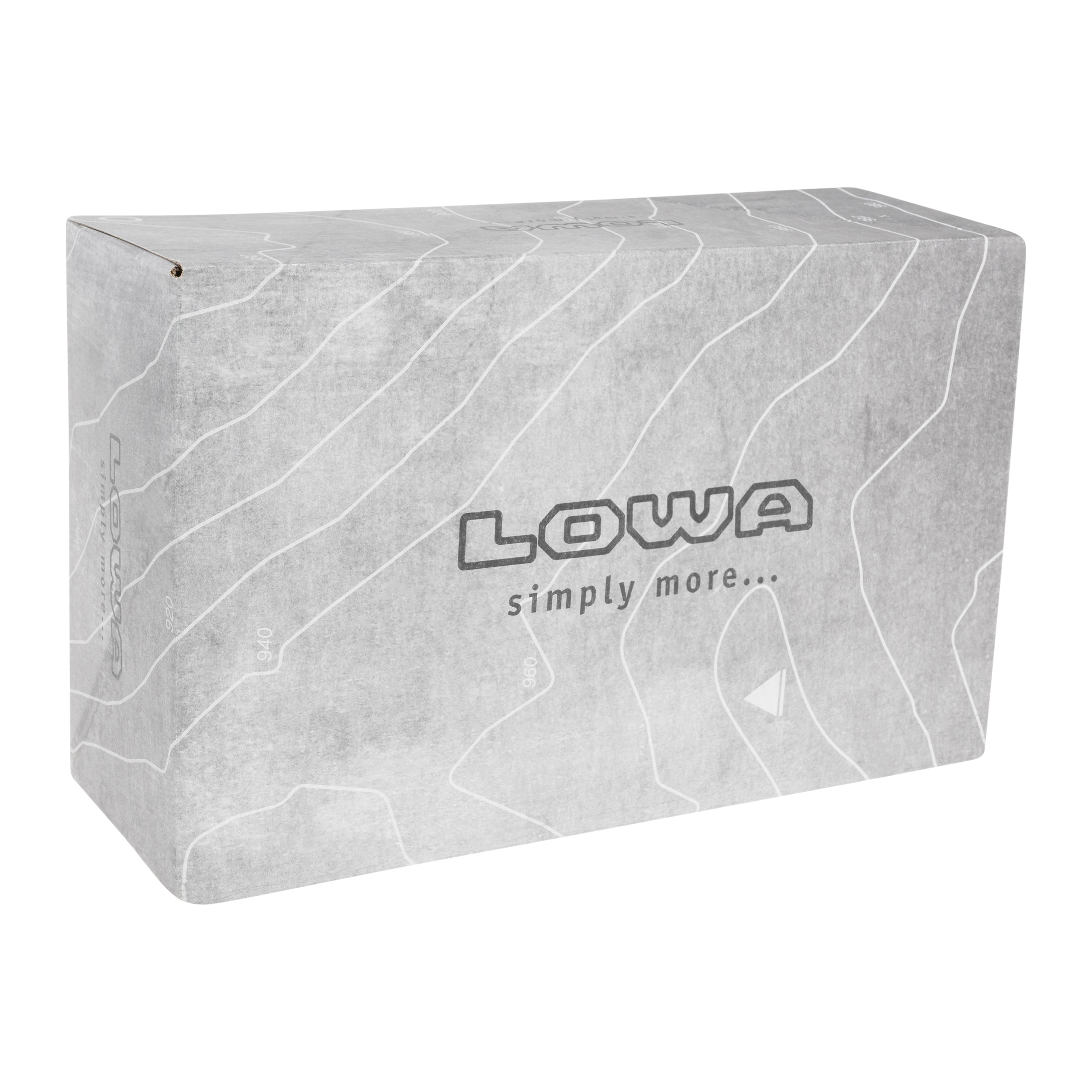 Lowa Renegade EVO GTX LOW Women's Boots - Black/Black