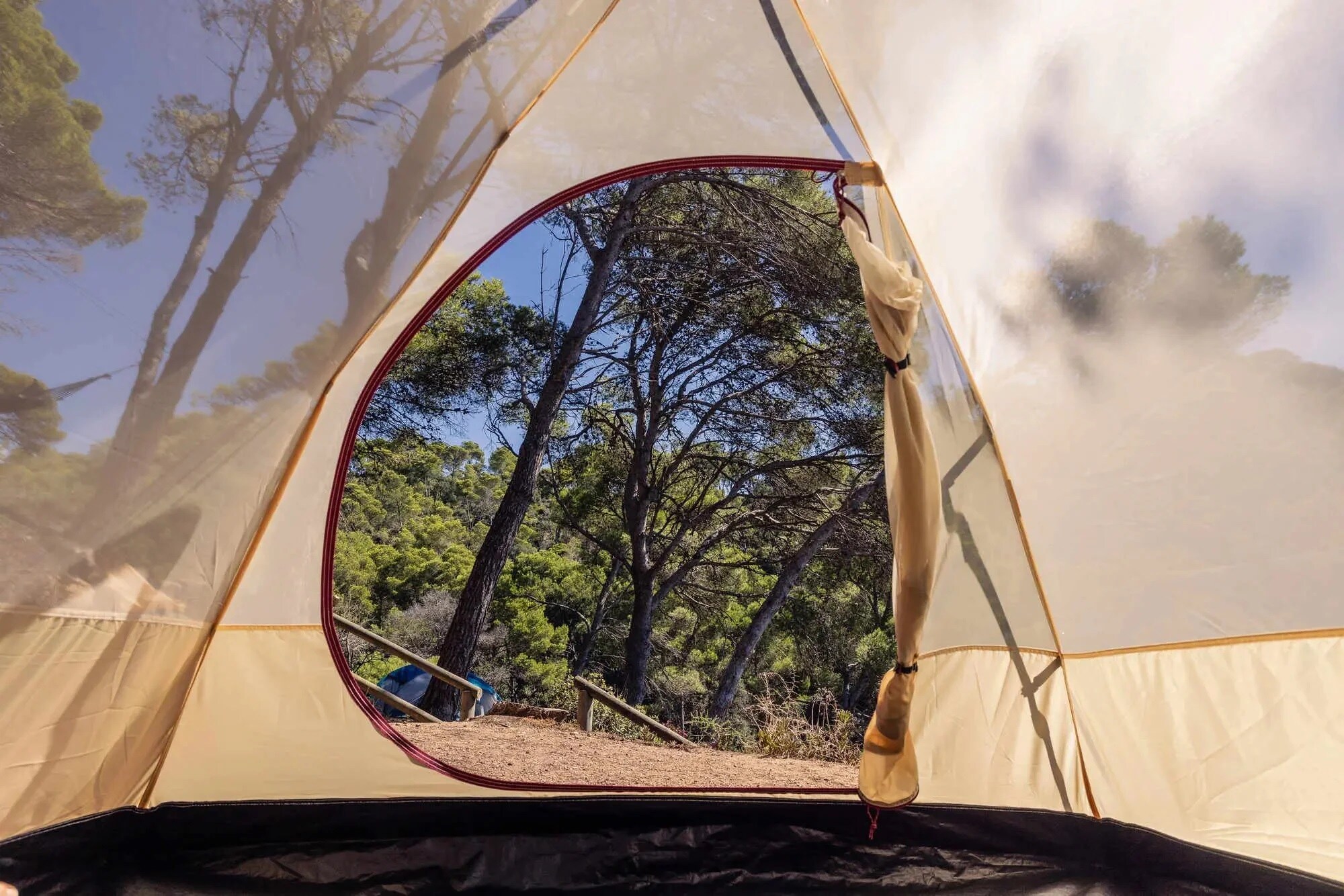 Coleman Darwin Summer 3 3-Person Tent