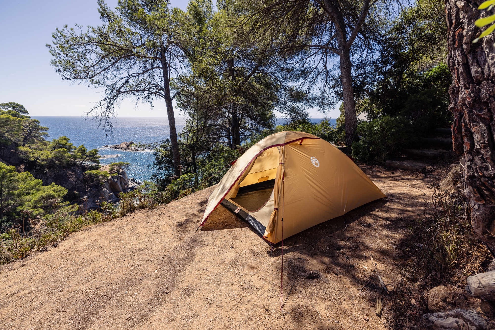 Coleman Darwin Summer 3 3-Person Tent