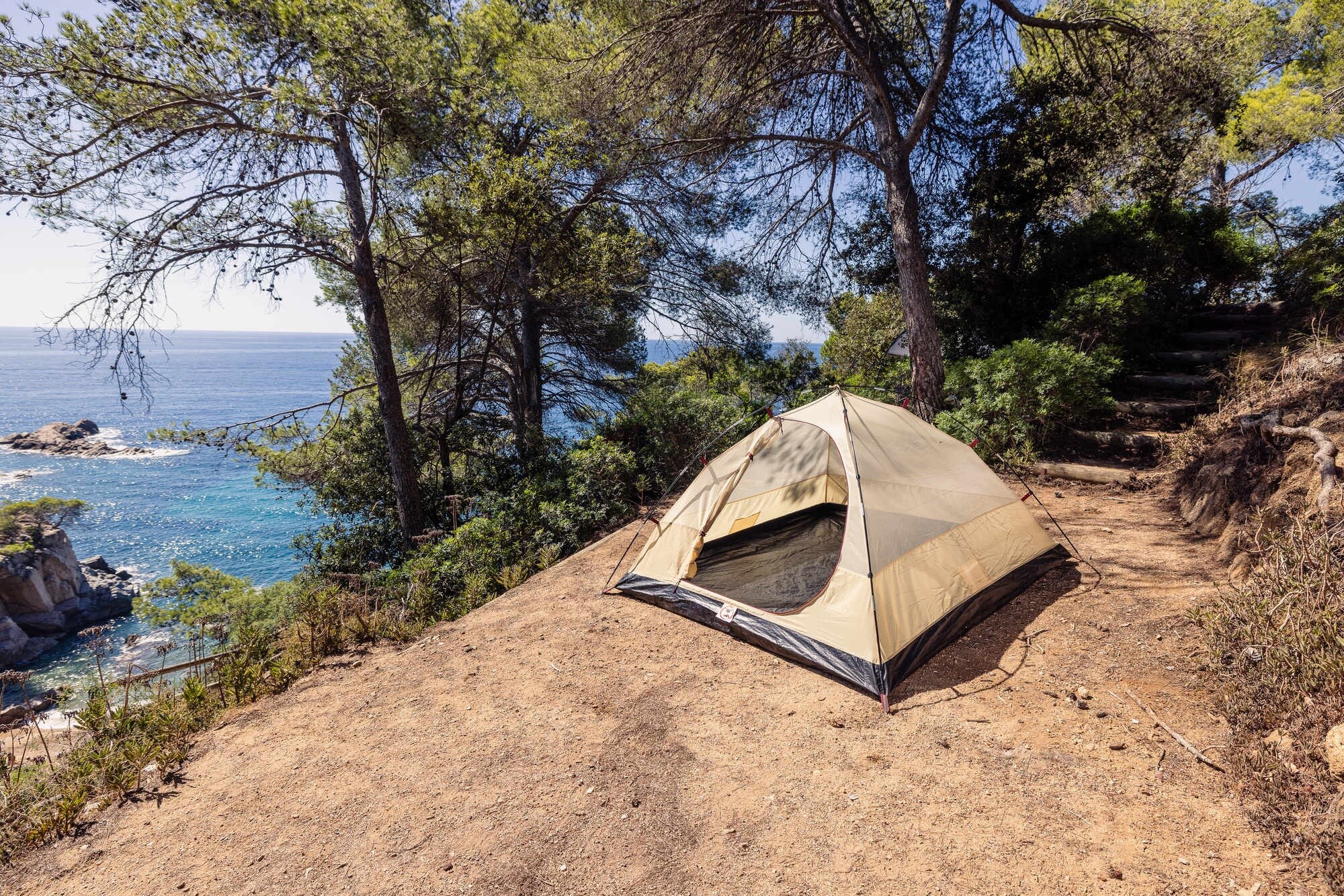 Coleman Darwin Summer 3 3-Person Tent