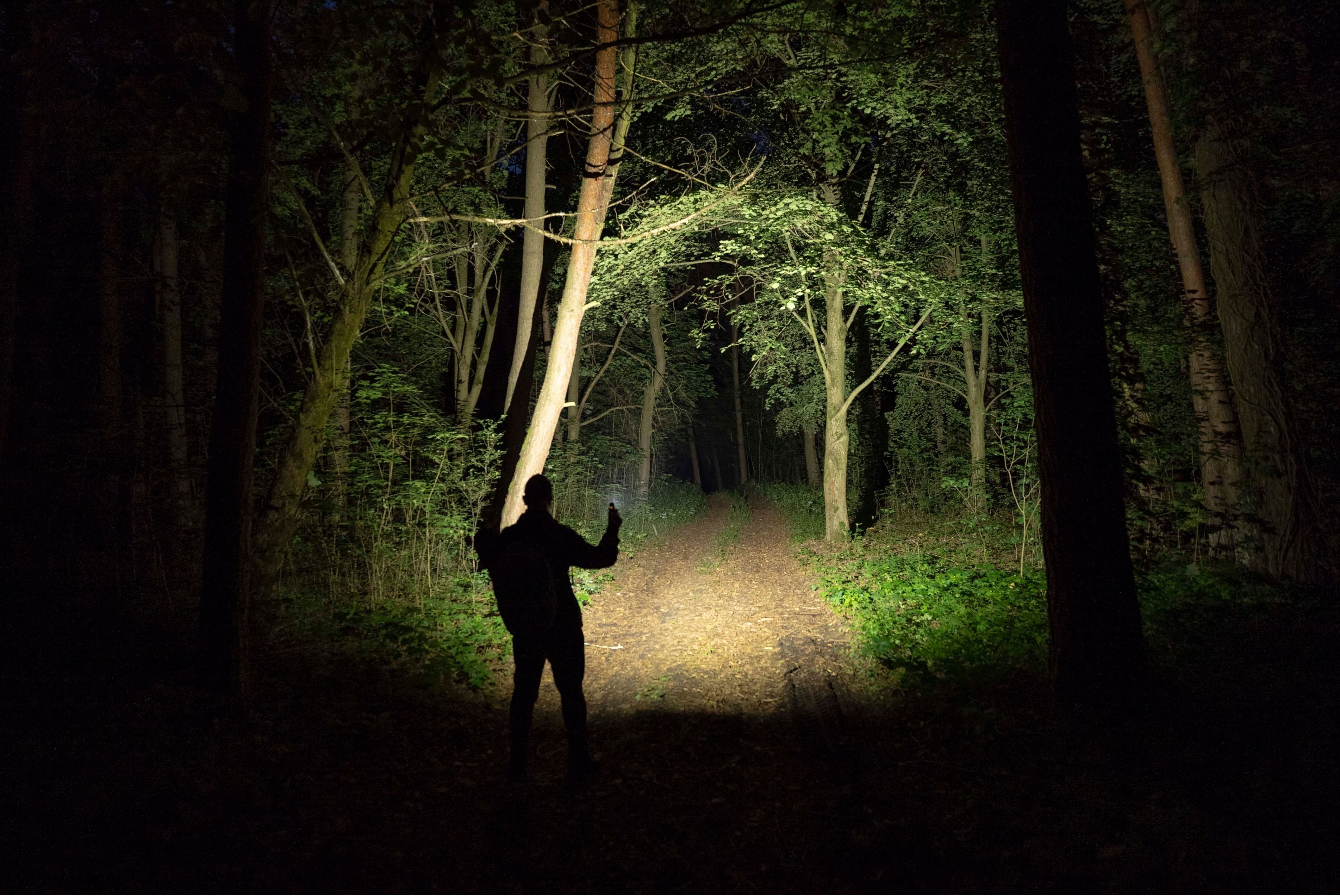 Armytek Elf C2 Max LR USB-C White Angled and Head Torch - 4500 lumens