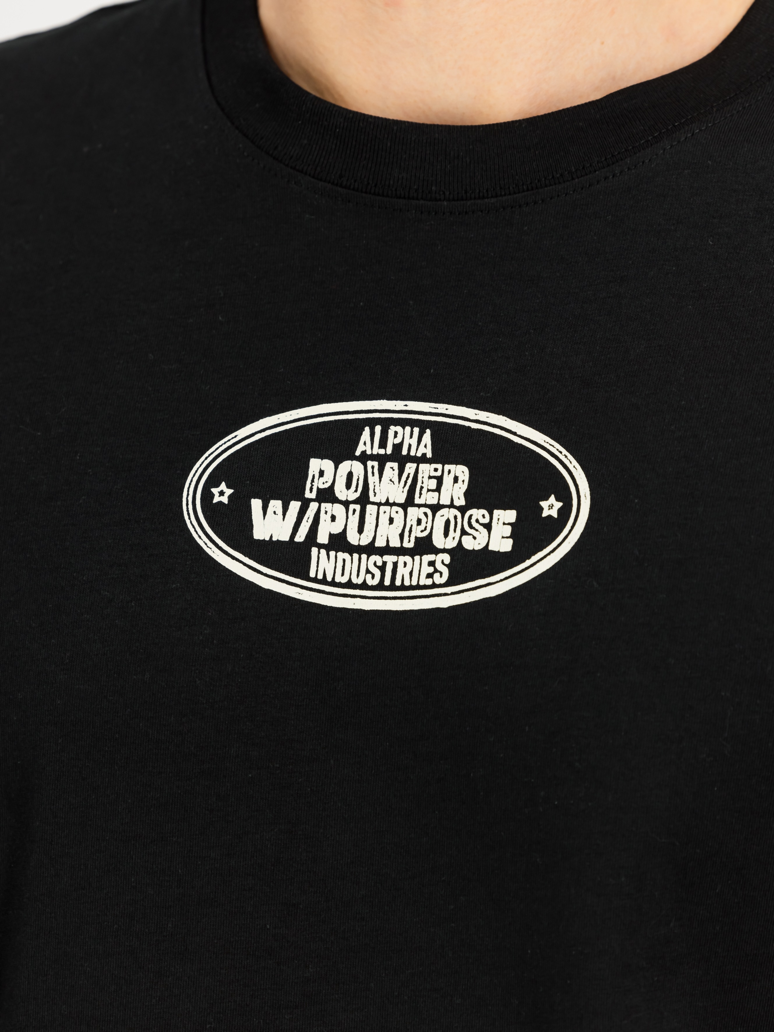 Alpha Industries Noseart Backprint T-shirt - Black